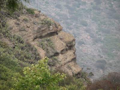 Face in the cliff