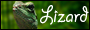 Lizard